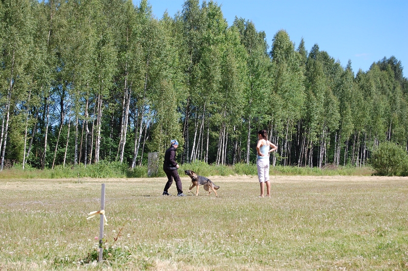 2010 007.jpg